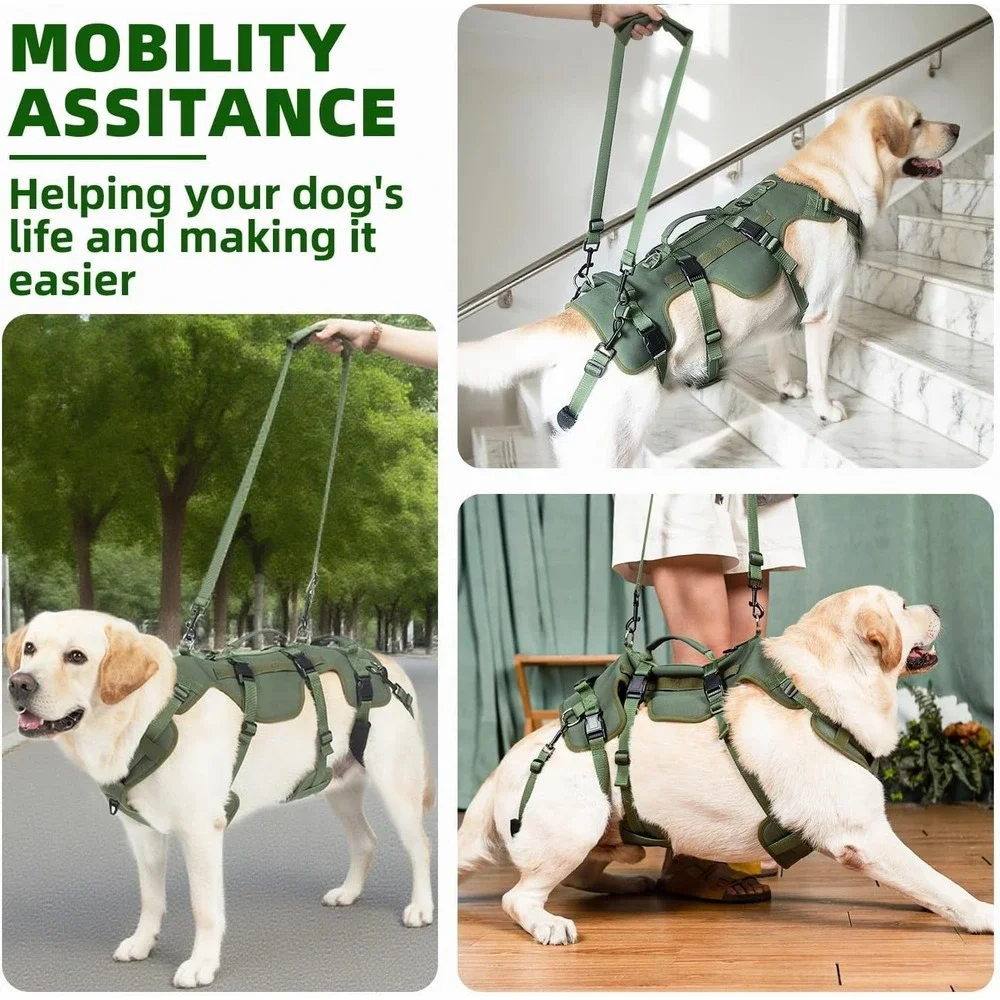 Dog Lift Harness Large Green PUPTECK‎ Support Sling for Rear Leg Injury Help